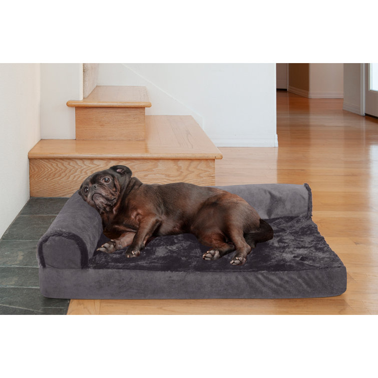 Dog chaise outlet lounge